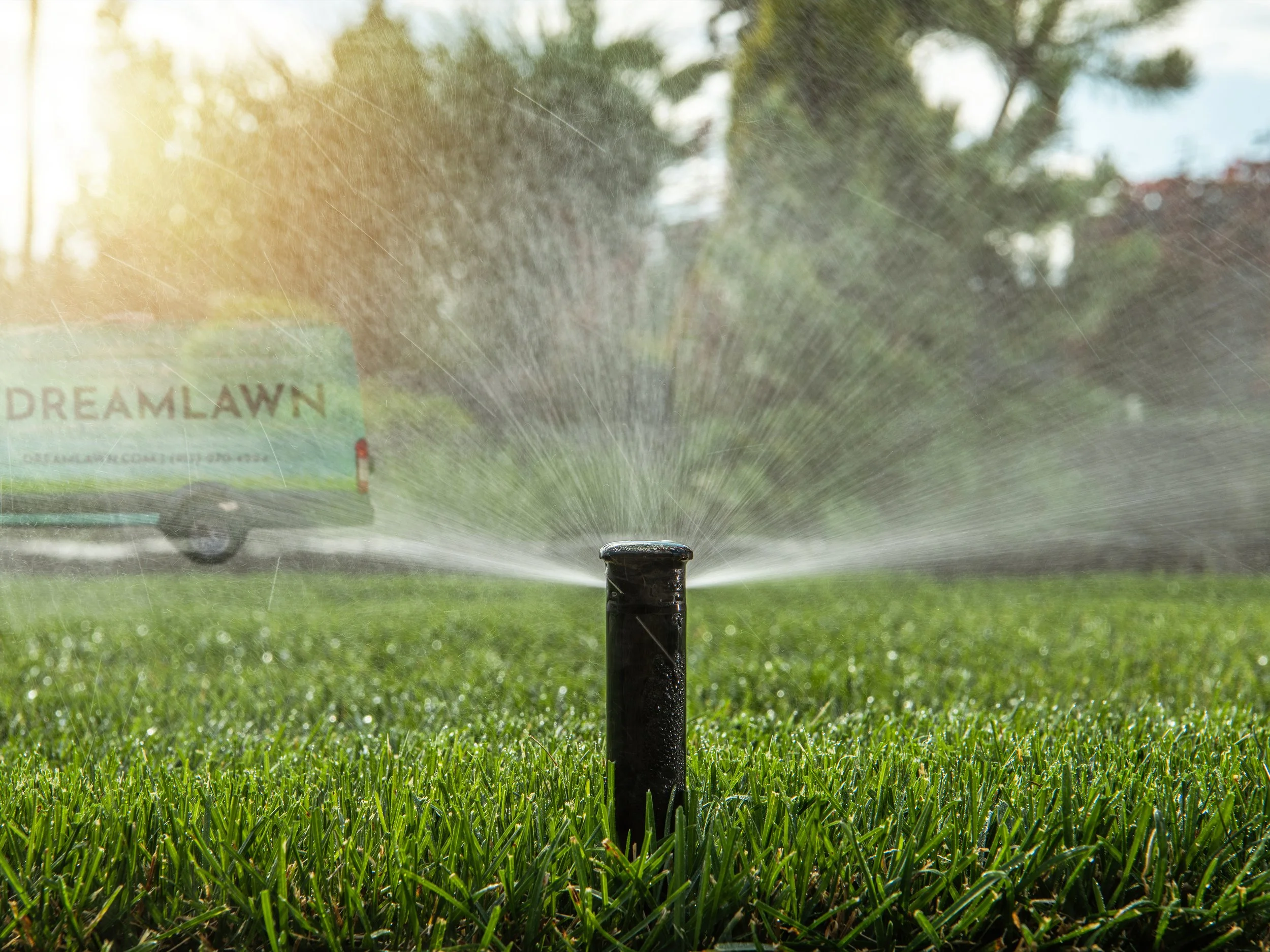 Why Does My Irrigation System Use So Much Water? — DreamLawn