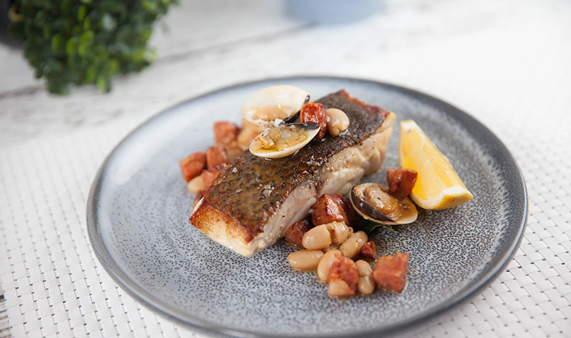 Blue Eyed Cod with Chorizo and Clams — Everyday Gourmet