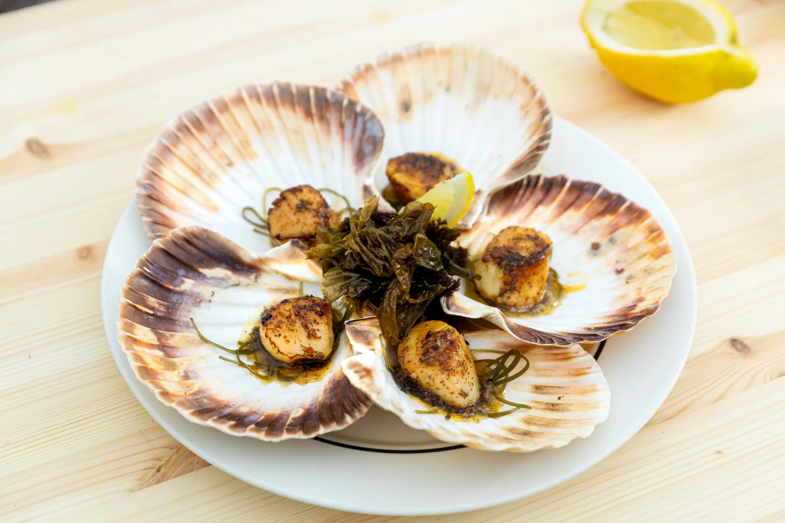 Scallops with Seaweed Beurre Noisette