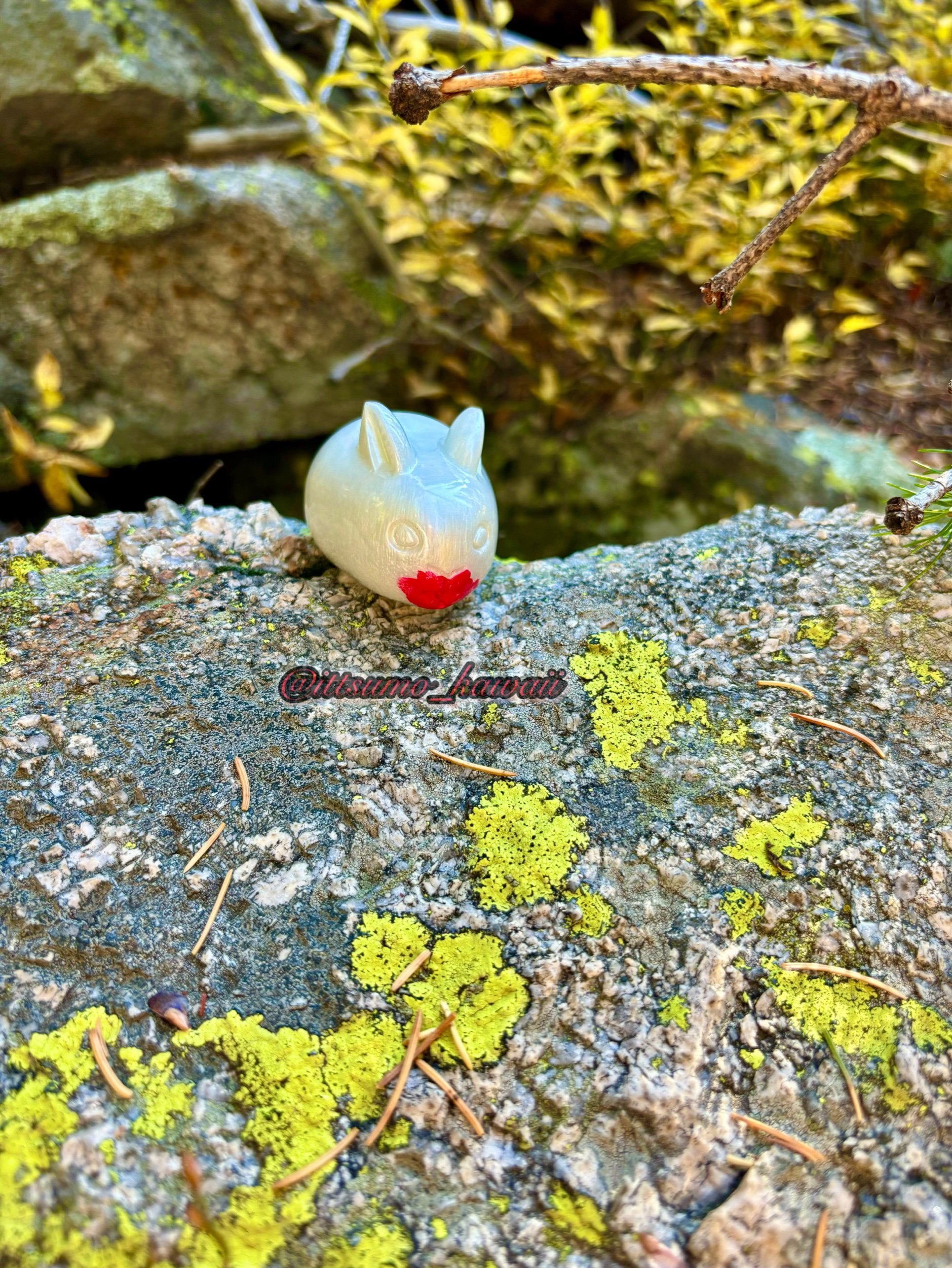 5660E065-3D68-4A6B-A923-6F1620B24F37.jpeg