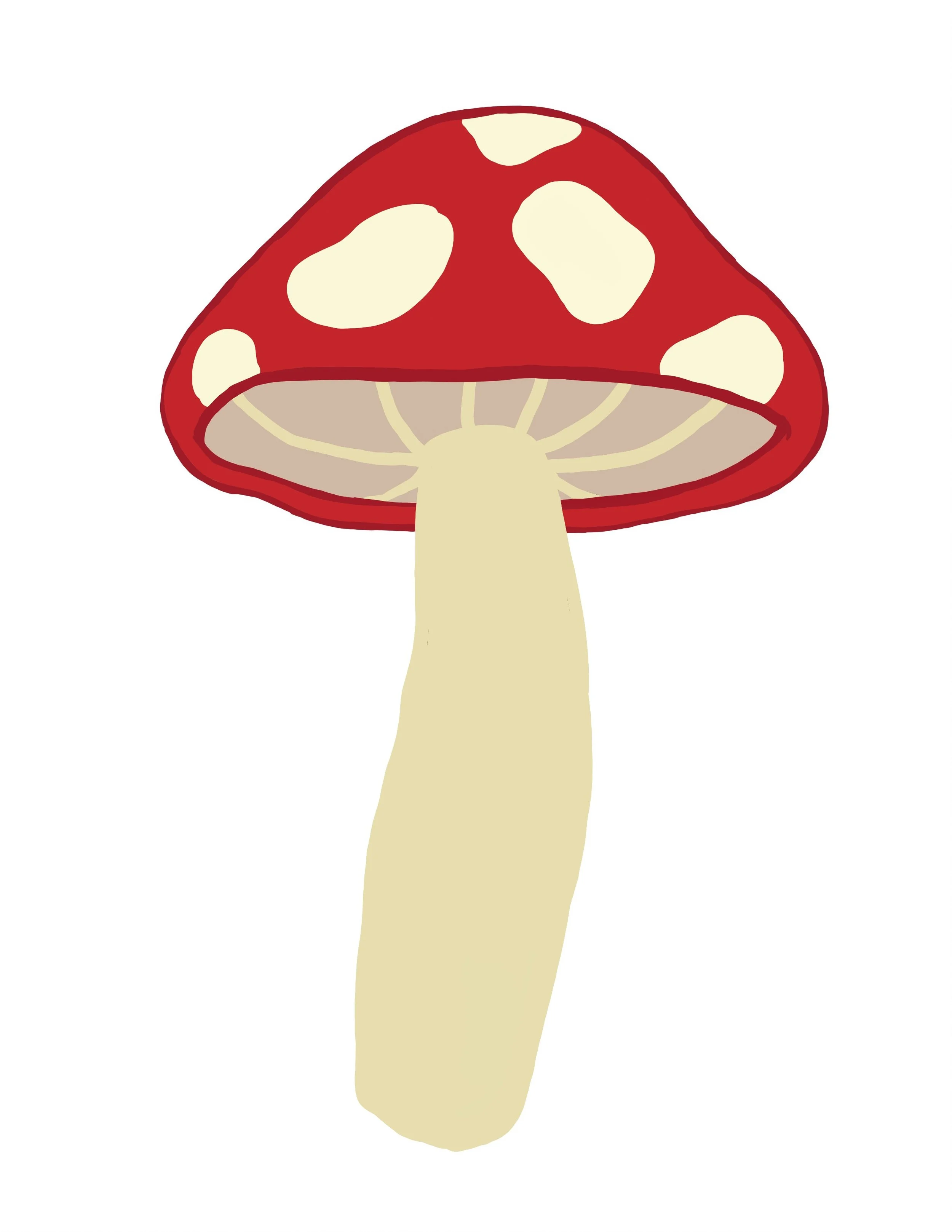 "Mushroom"