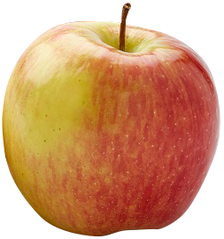 Amborsia-single-etch-web.png