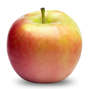 fugi-300x300.png
