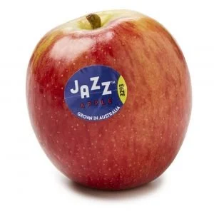 Jazz-1-300x300.jpg