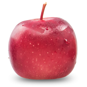 rockit-300x300.png
