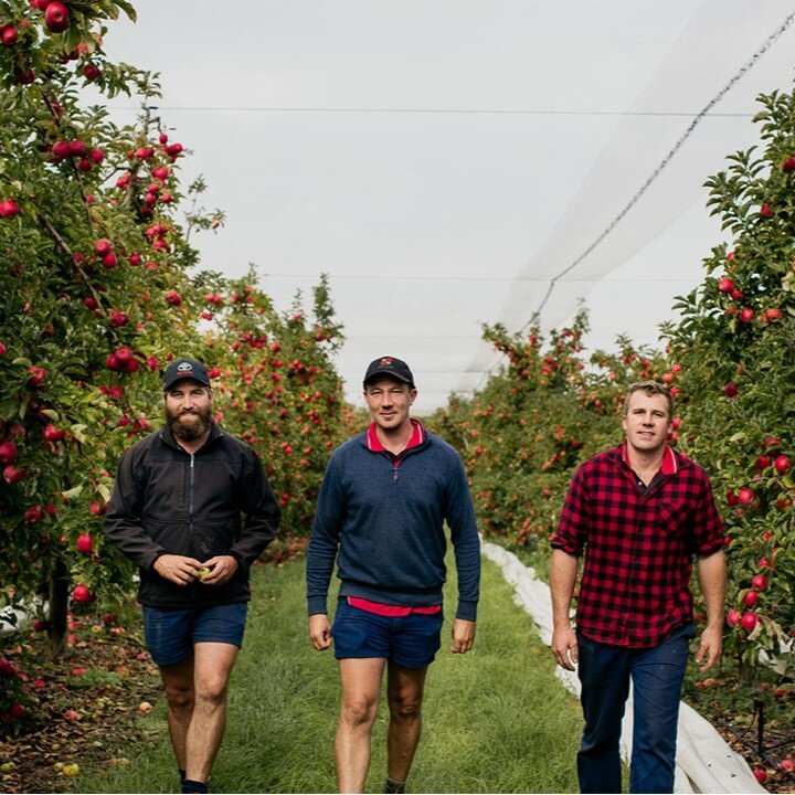 Can't wait for our WA Future Orchard Walk on Monday at 8.30 am at Collins Bros Orchard - Greys Road &amp; Vasse Hwy Pemberton - the coffee van ready is waiting for you - don't forget to register🍎🍐