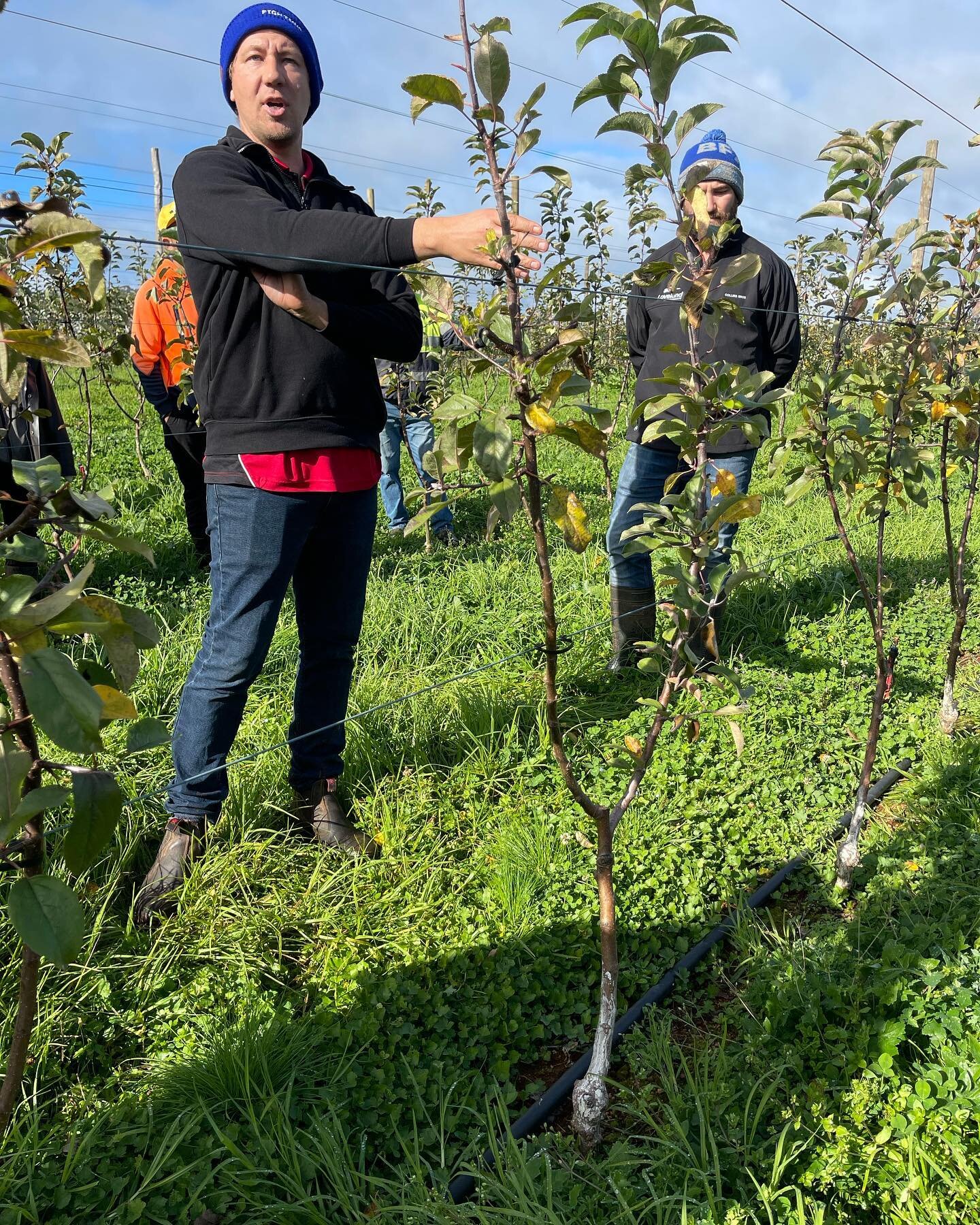 Awesome Day at the APAL WA Winter Future Orchard Walk at Collins Bros Orchards in Pemberton yesterday - Congratulations to Susie and sincere thanks to Murray and Dean  Collins for hosting this great event 🍎🍐🍏