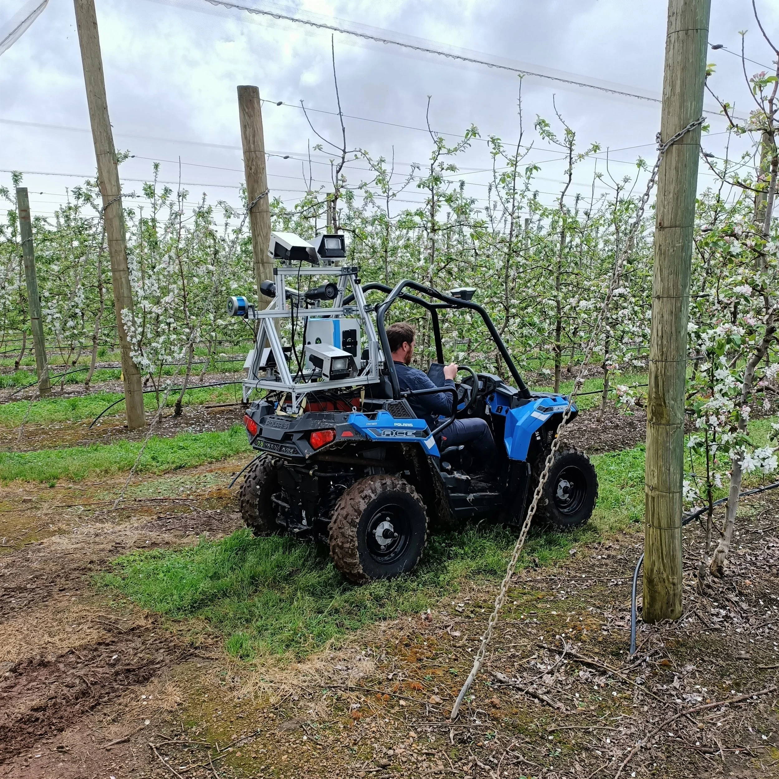 Producing Sustainable Crop Load