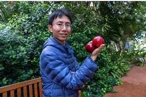 International research scholarship recipient to eye apple colour