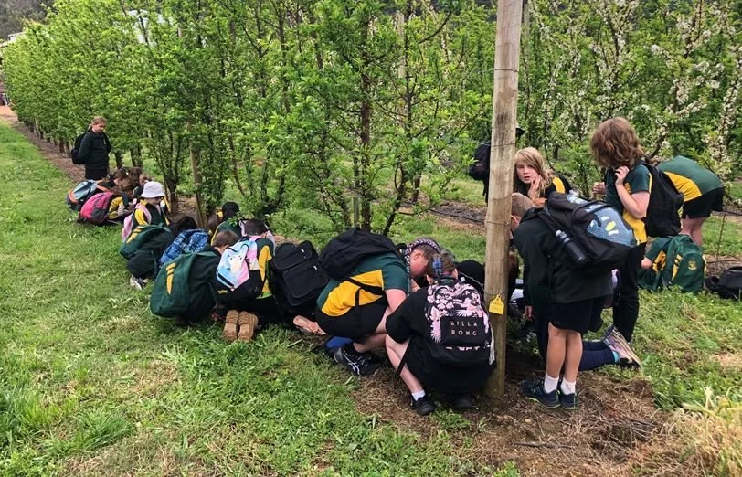 South West Food Bowl - Careers Day Nannup