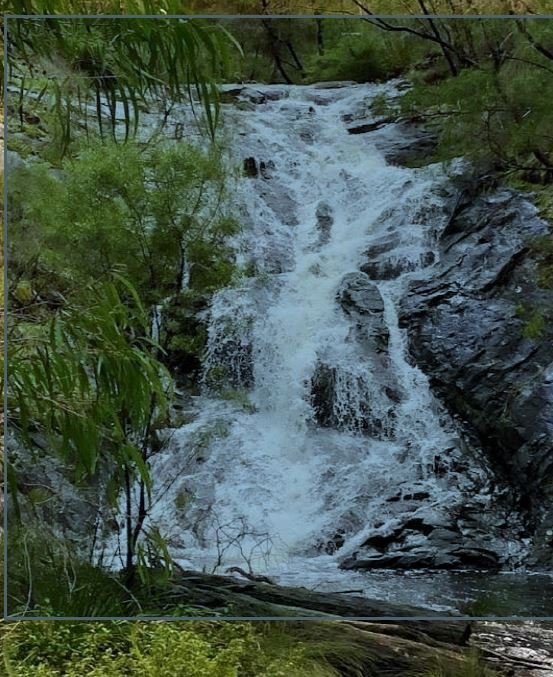 Water Futures Forum Wednesday 2 November at 3.00 pm