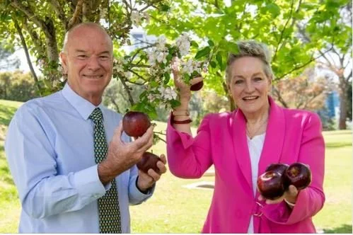 Soluna™ - the Fruit West Cooperative Ltd are delighted with the announcement of the new international trademark for the ANABP01 variety 