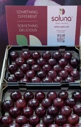 Soluna™ - Something real - is internationally launched!