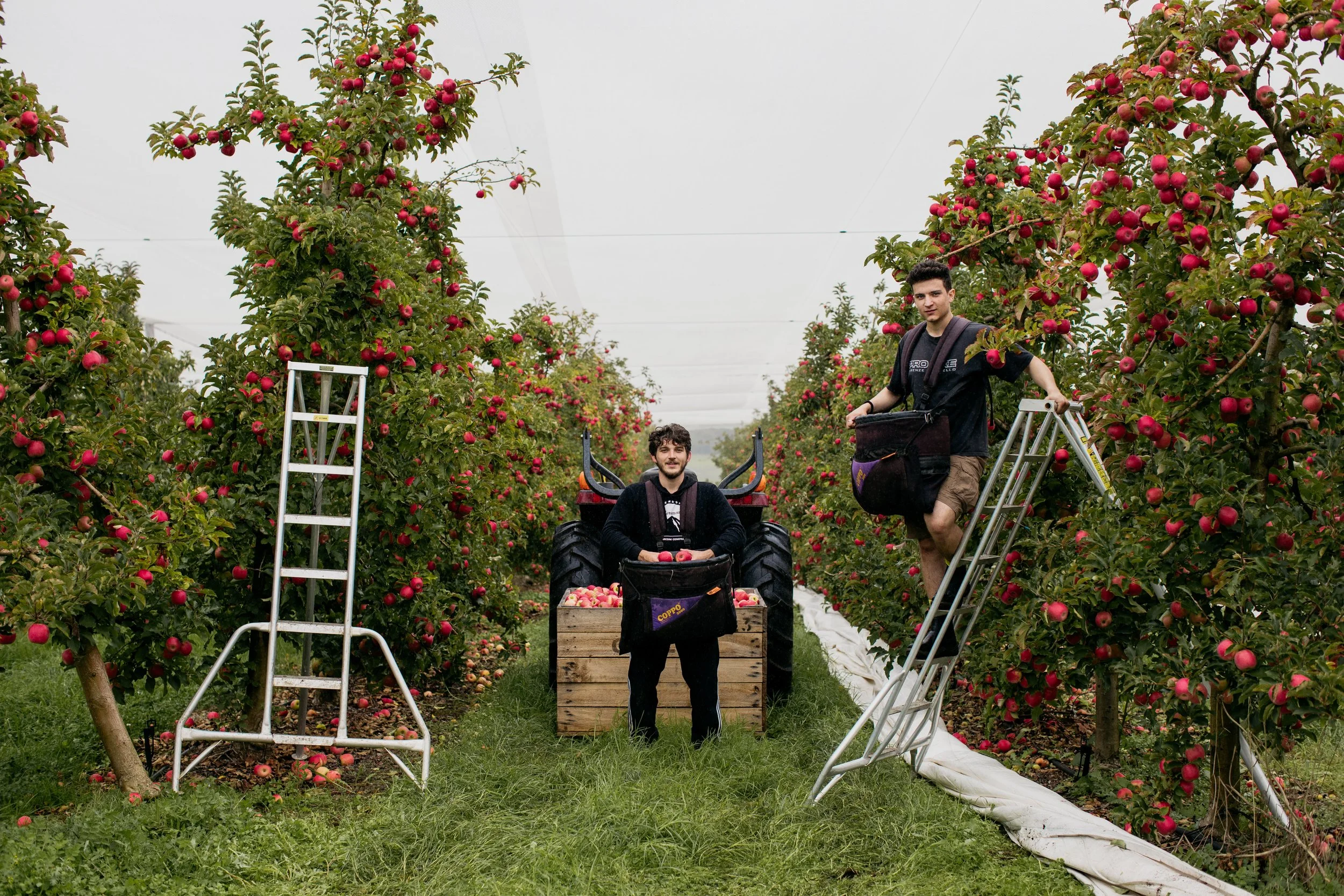 Future Workforce Training