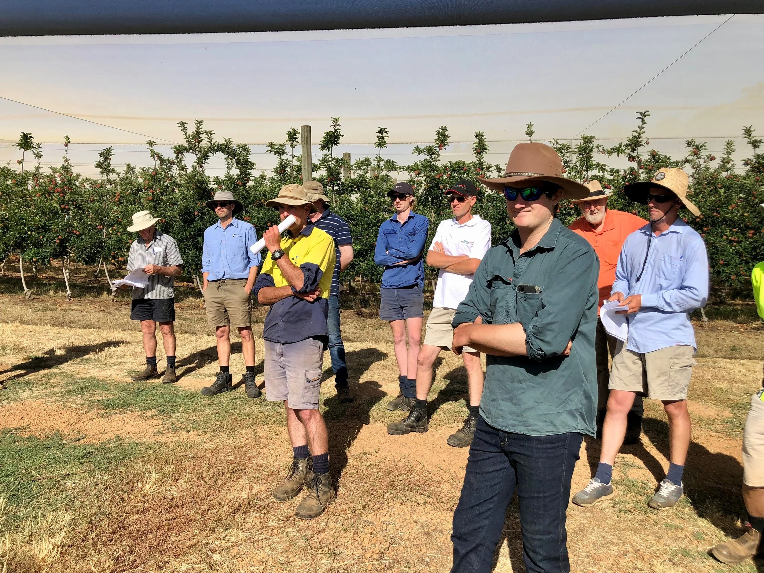 APAL Future Orchards® - Harvest walk Series 2023 in Kirup WA  a success!