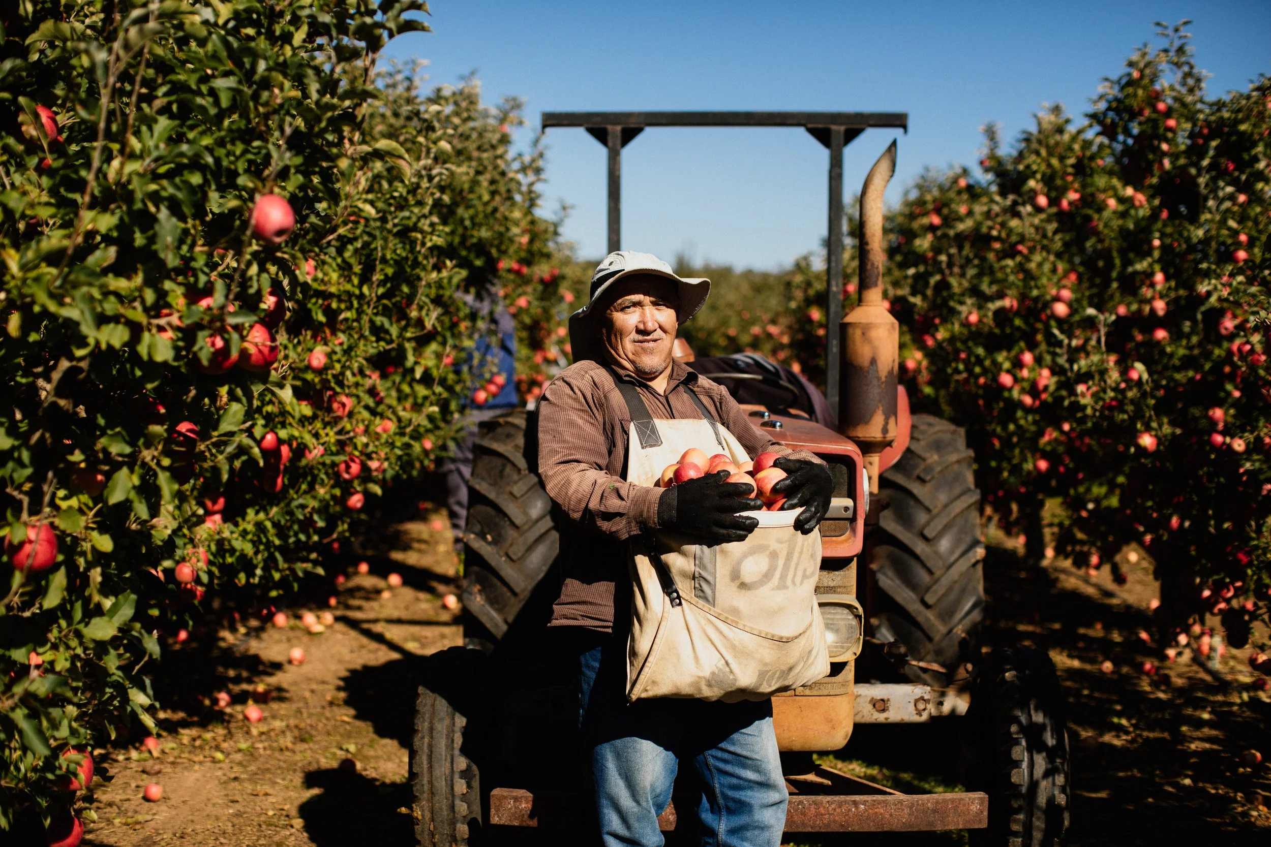 When you buy Western Australian apples, they will be great - just ask us!