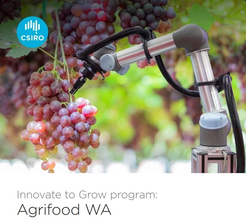 Innovate to Grow program Agrifood WA delivered by CSIRO