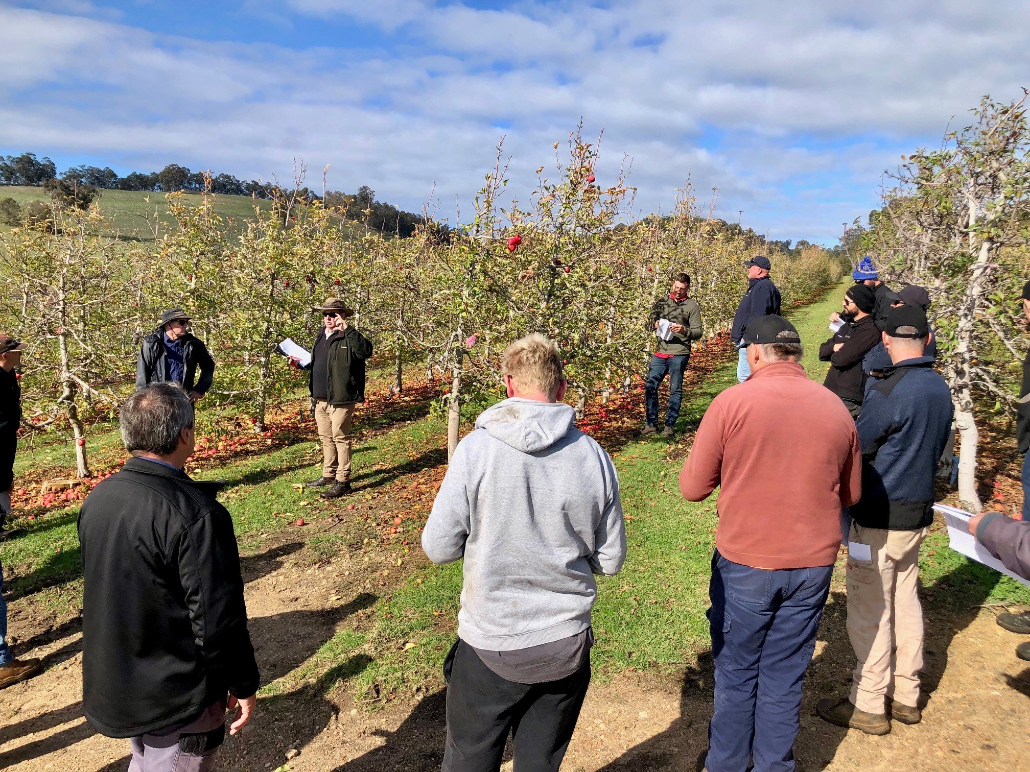Last week's APAL Future Orchards® Walk at Athertons - another successful WA grower event!