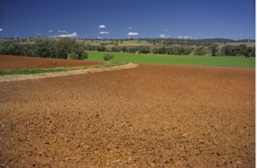 Learning about Growing Carbon on Farm Workshops