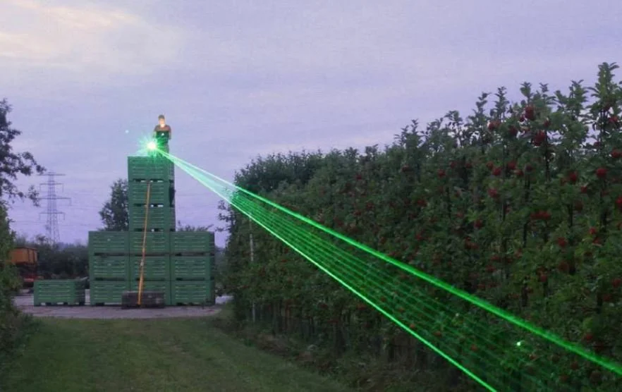 WA apple orchardists trialing AVIX lasers to deter black cockatoos in Jarrahdale