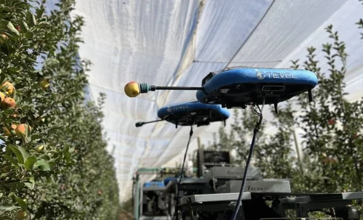 Robot technology is leading the horticulture sector into the future