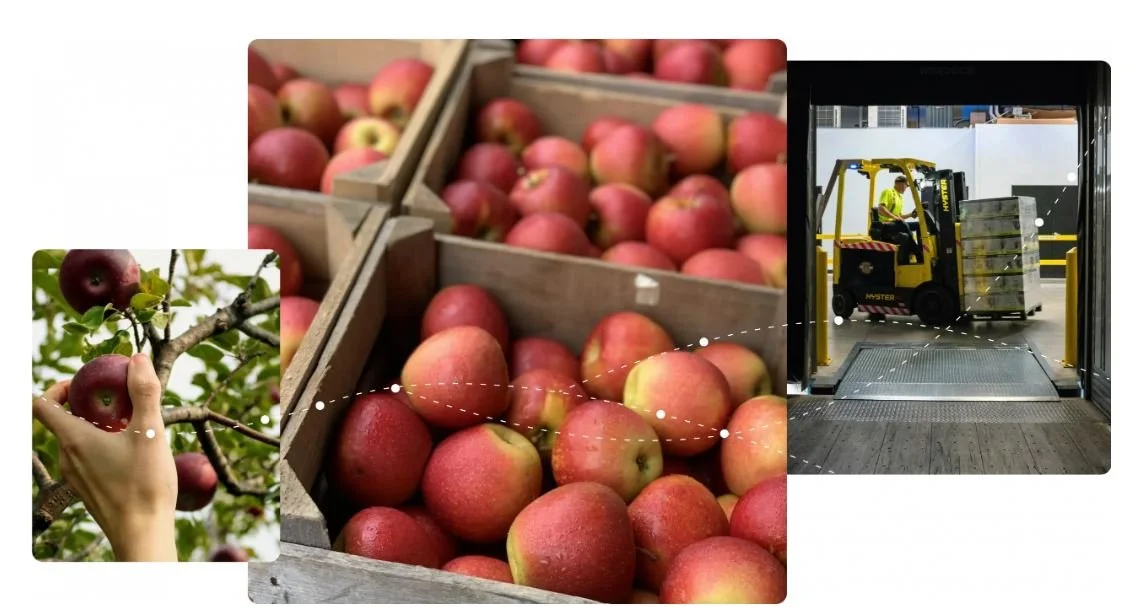 Opportunity to be involved in Future Orchard Trial