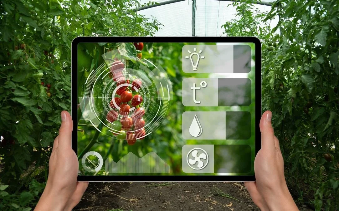 WAHU - WA's own Horticulture Premium Event 31 Oct - 1 Nov, Ascot Racecourse