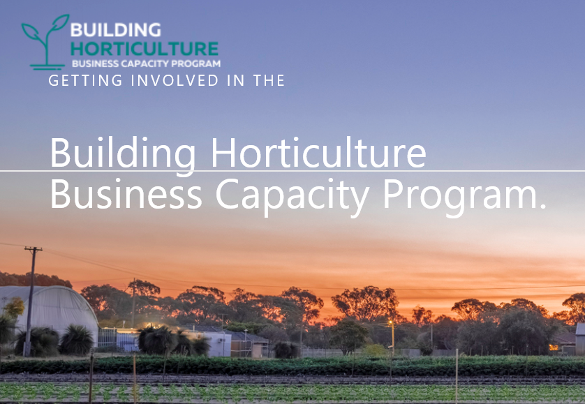 Subsidised Business Consultancy for the Horticulture Industry
