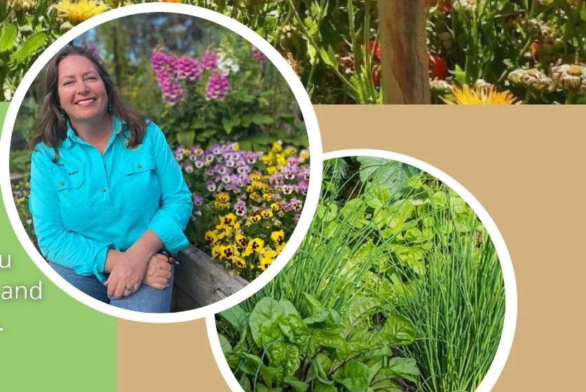 National Community Gardens Day Donnybrook