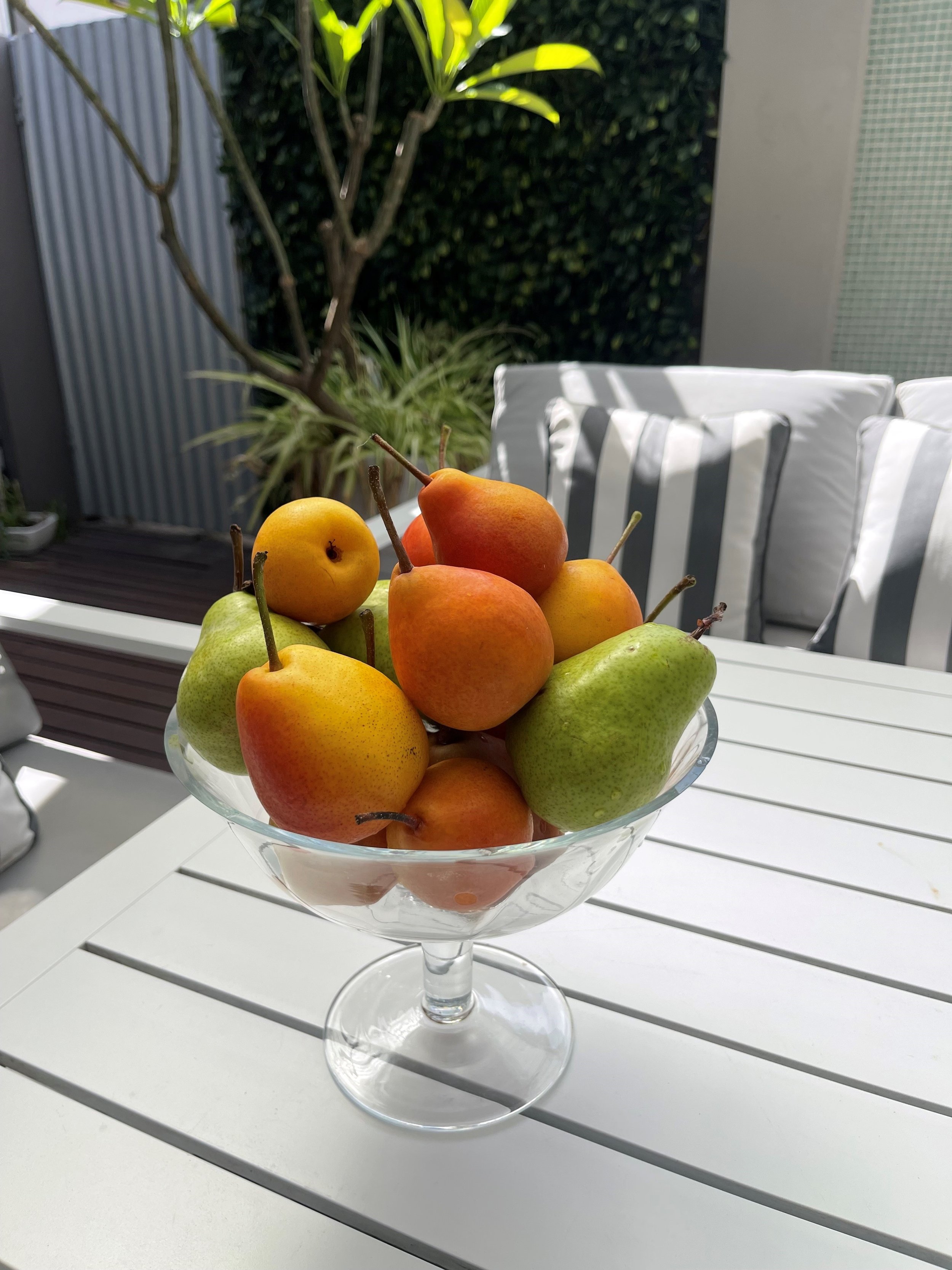 fruit bowl on table.jpg