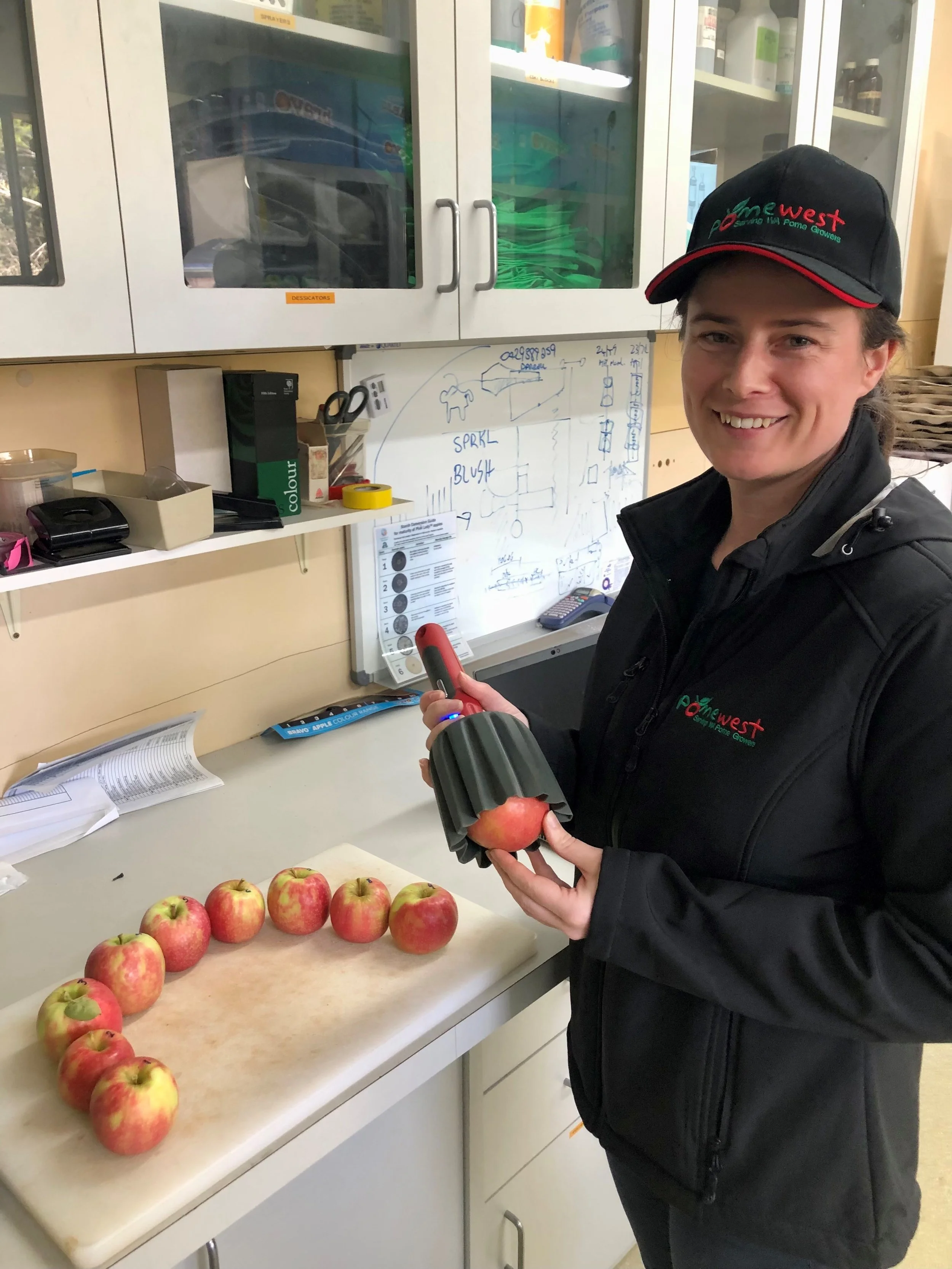 Non-destructive quality and maturity assessment of apples