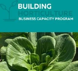 Project findings - Building Horticulture Business Capacity