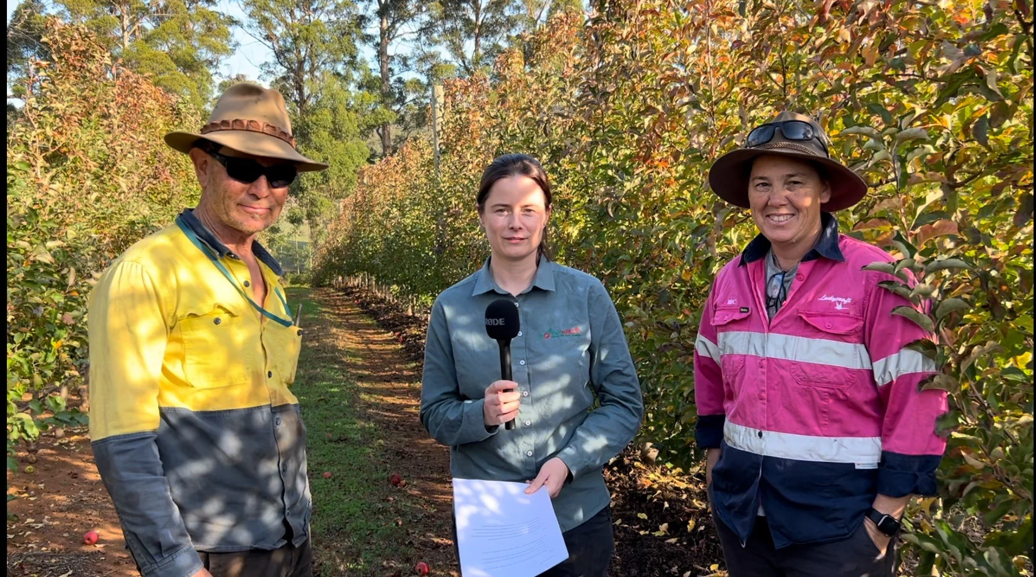 PIPS4Profit IPM - hear about WA grower experiences