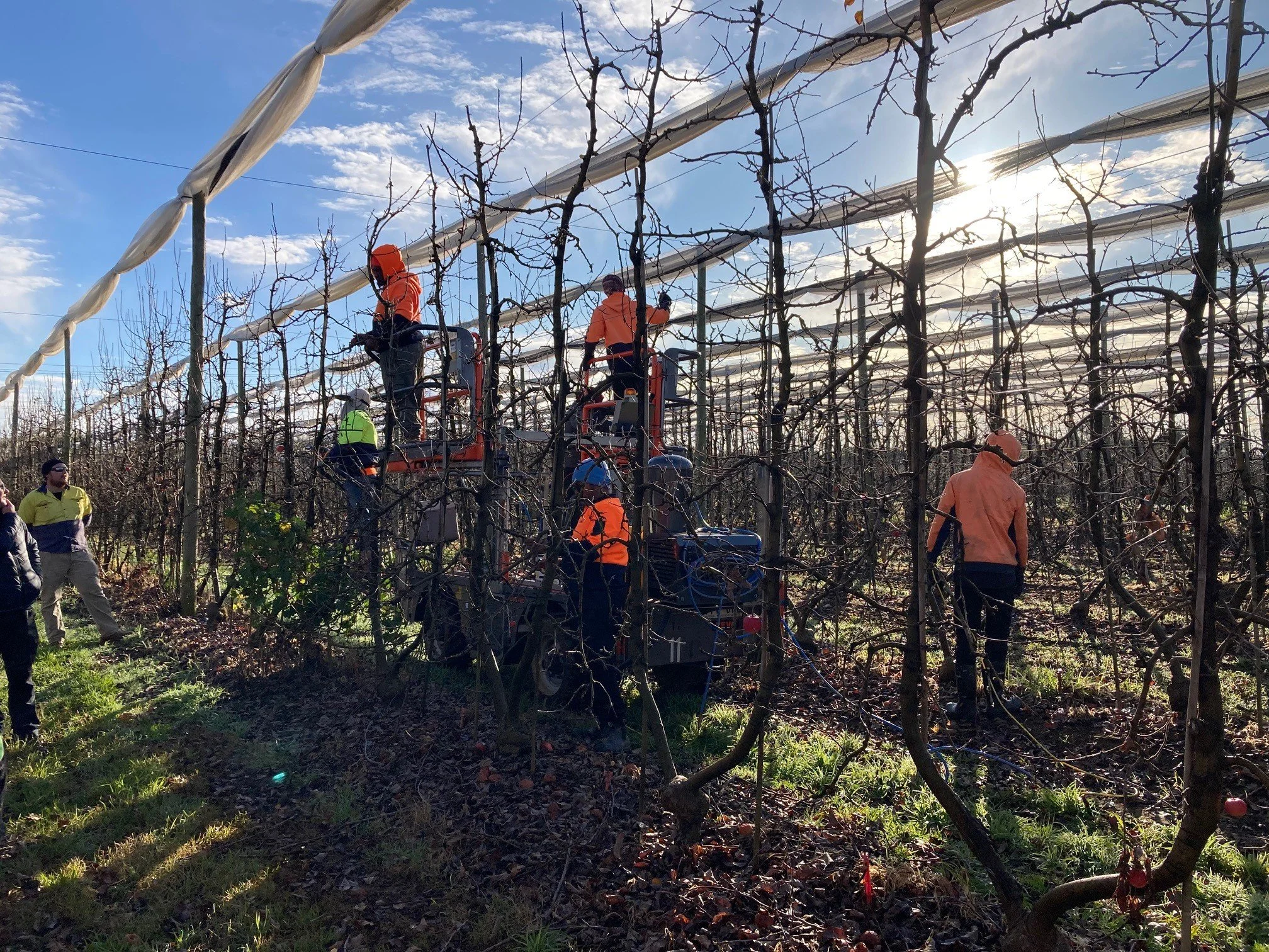 Day One - APAL short orcharding course in Shepparton July 2024