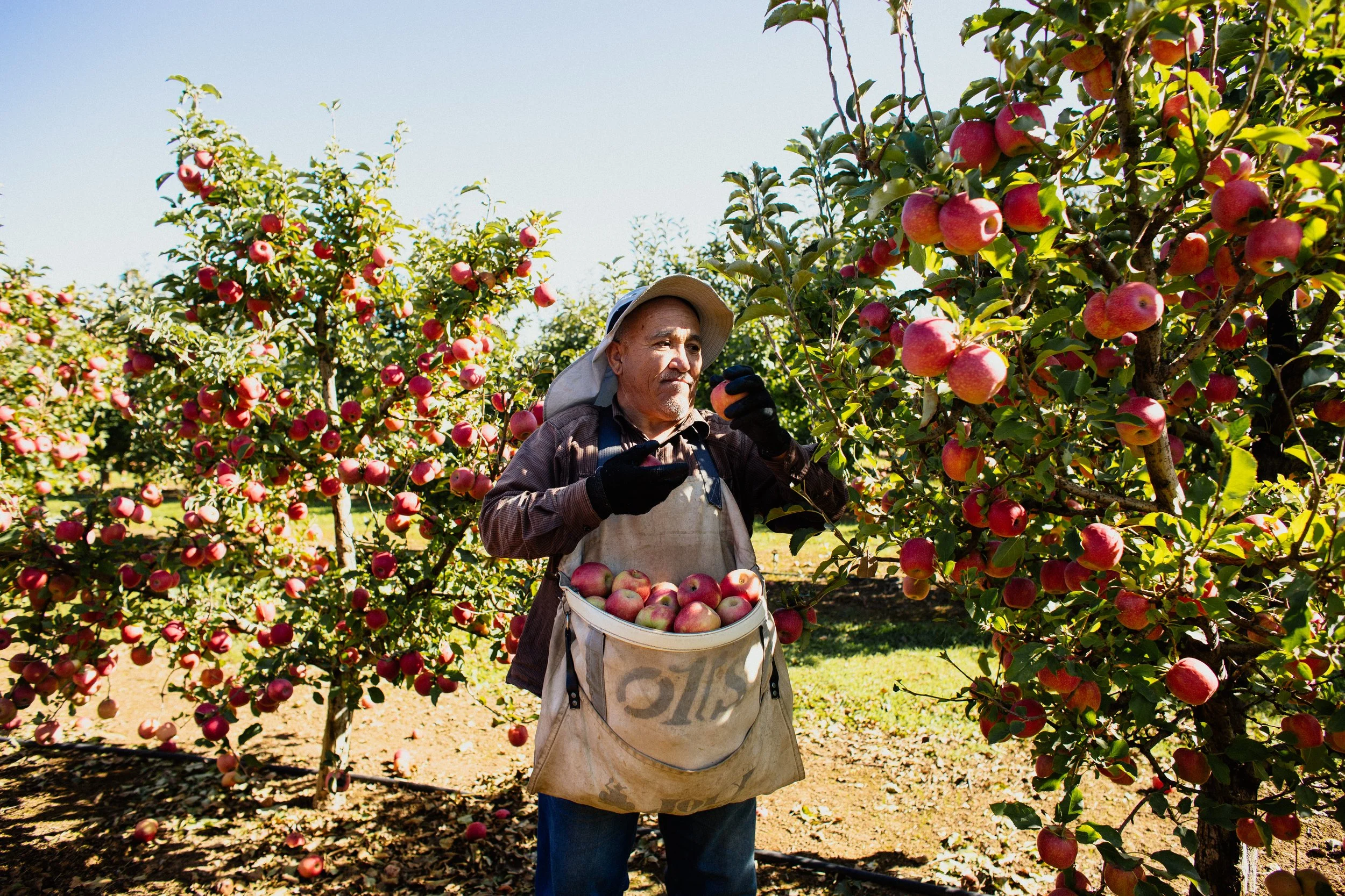 Horticulture National Grower Consultation Session - Regional Migration 