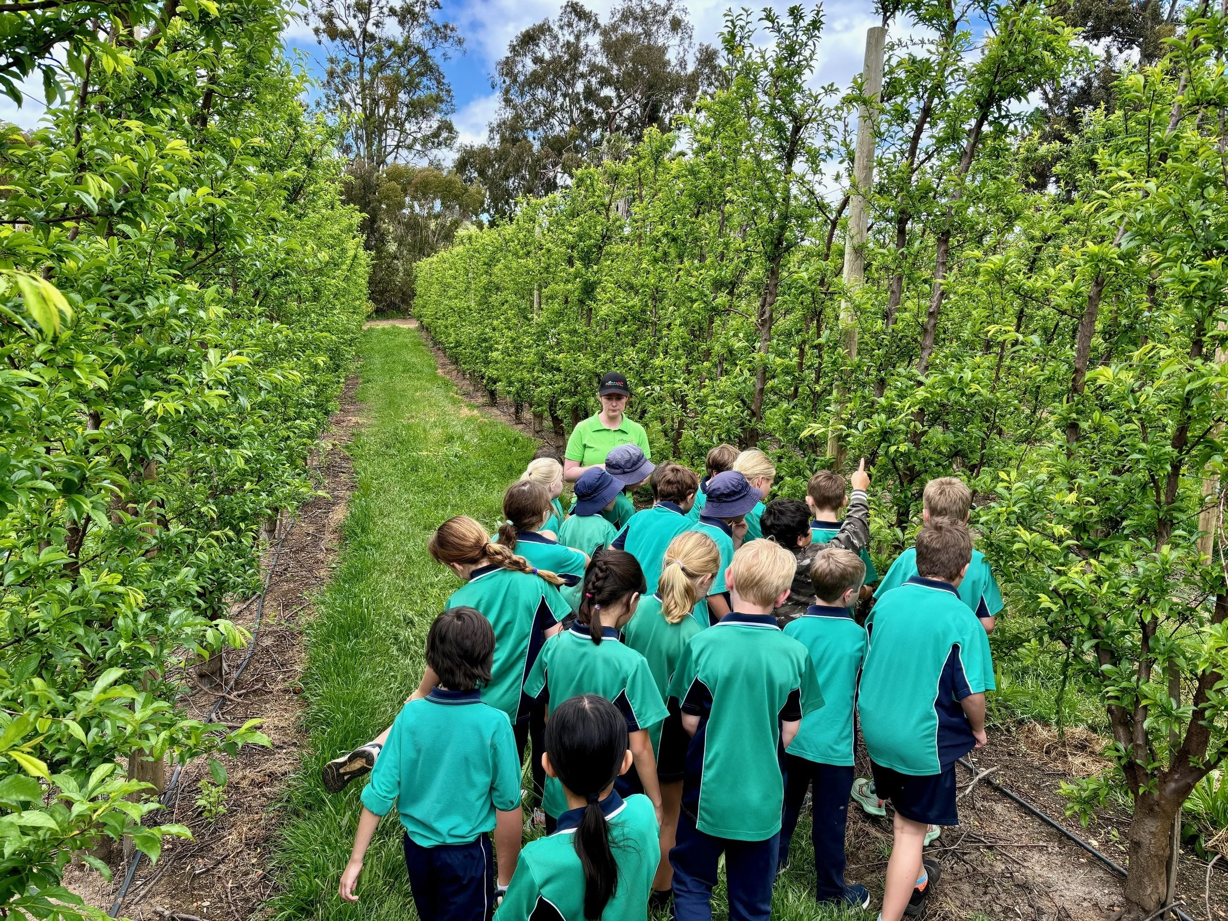 2024 Nannup South West Food Bowl Agriculture Awareness Days