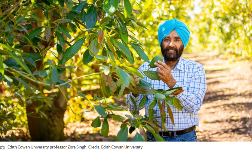 ECU Professor first Australian educator to receive international horticulture award