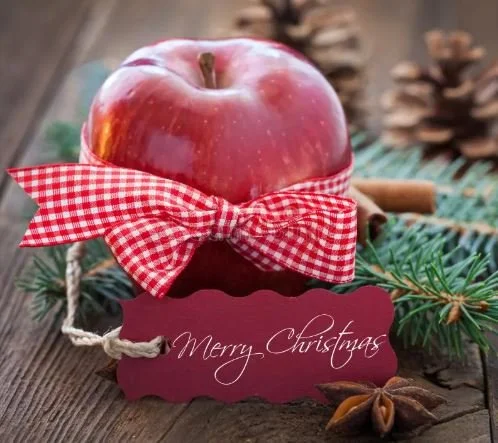 Pomewest Xmas Break from 20 December through to 15 January 2025