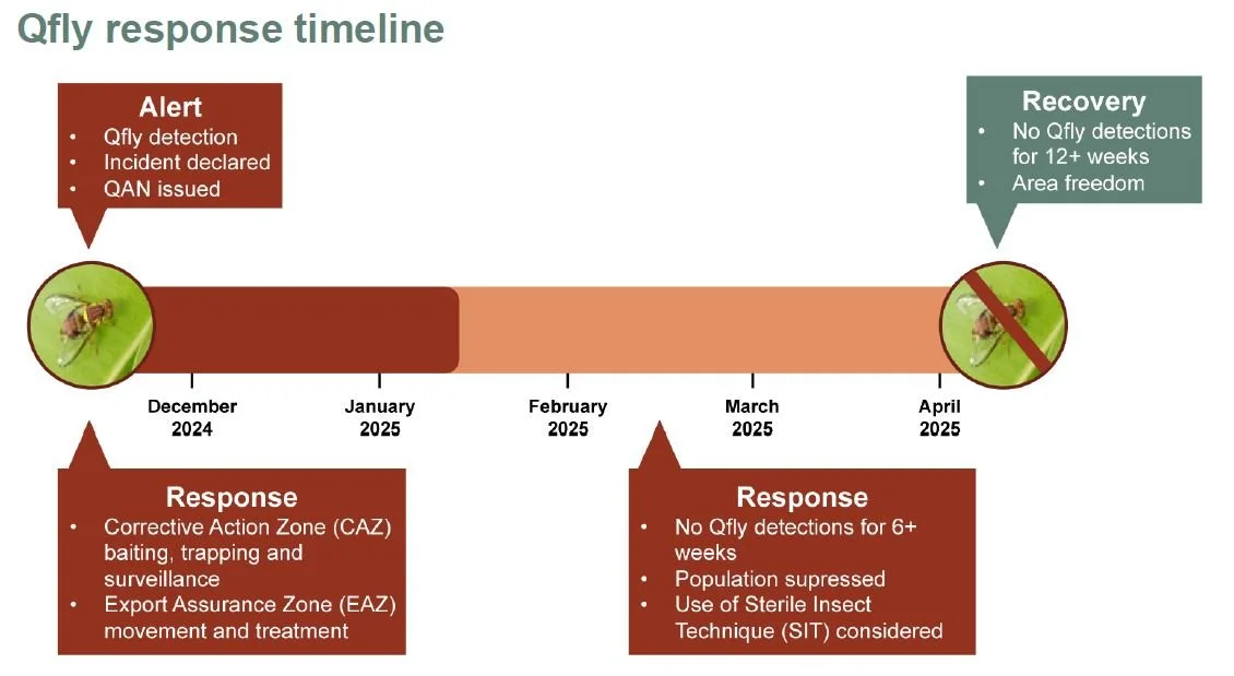 Industry Update #3 - Queensland Fruit Fly