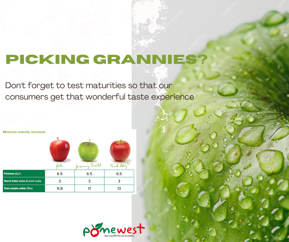 2025 Granny Smith Harvest about to commence