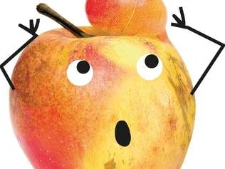 What do consumers think about climate affected produce 