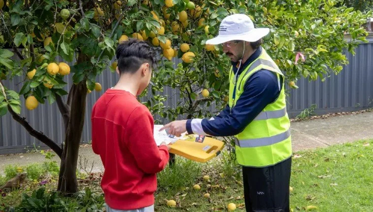 Industry Update # 5 Queensland Fruit Fly Willagee 