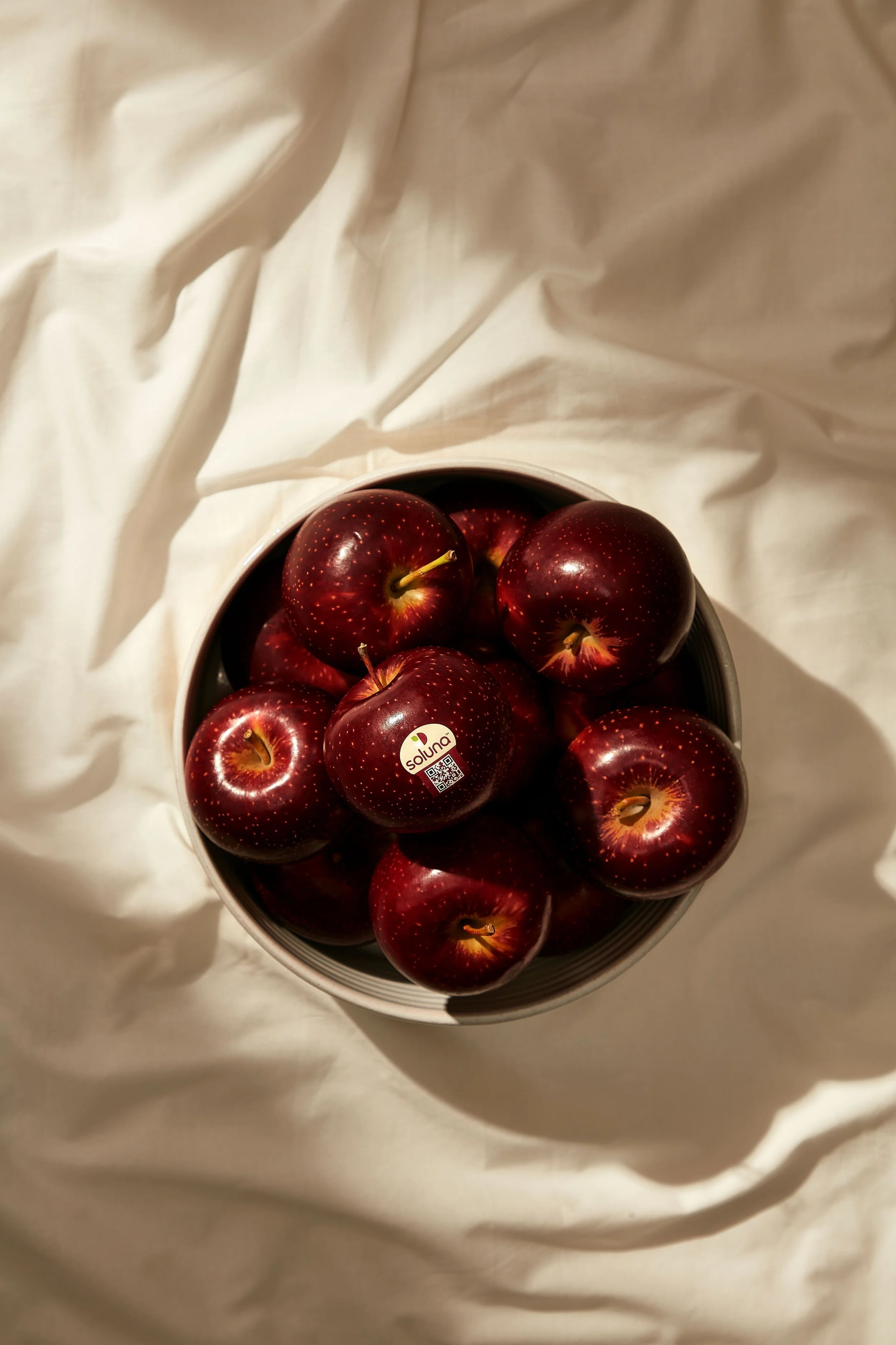 Soluna™ Apples Set to Shine in China as Australian Mainland Apple Exports Approved