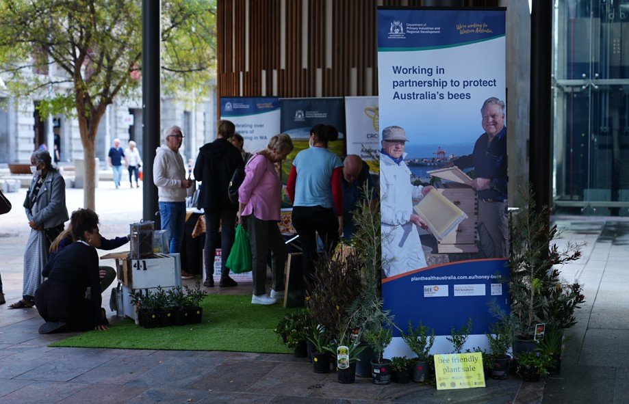 WA’s unique bees celebrated at Murray Street Mall for World Bee Day