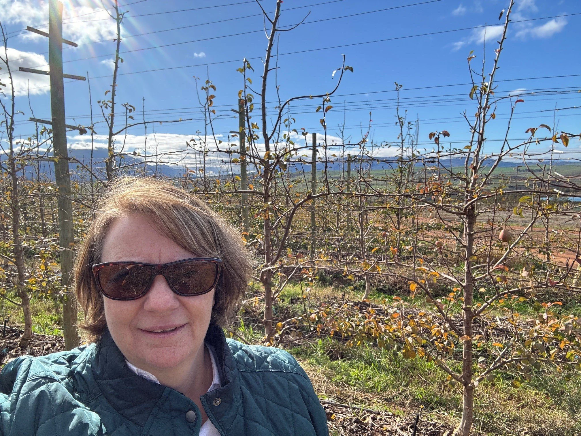Pomewest Project Manager Susie Murphy White shares her insights from recent APAL South African Grower’s Tour
