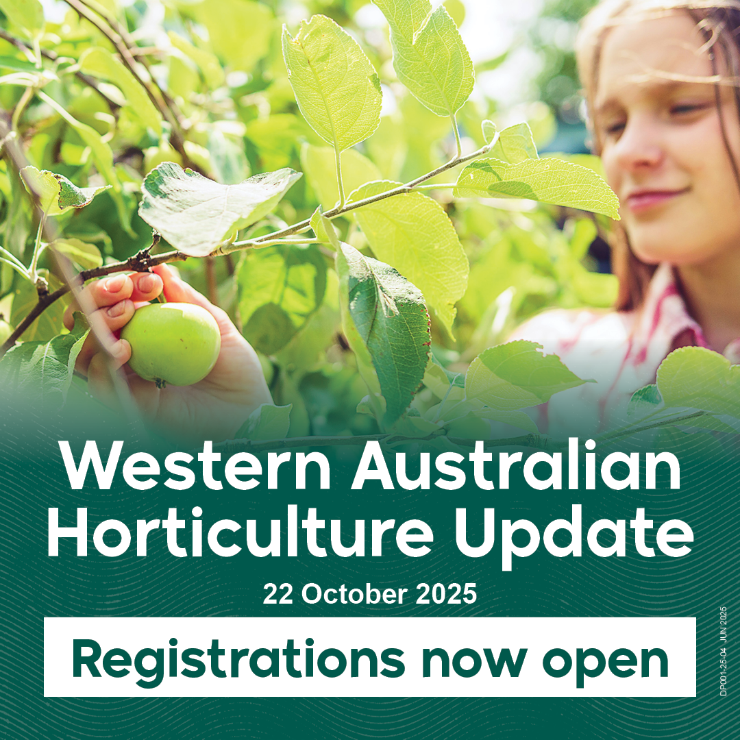 WAHU 2025 - Tickets are now available