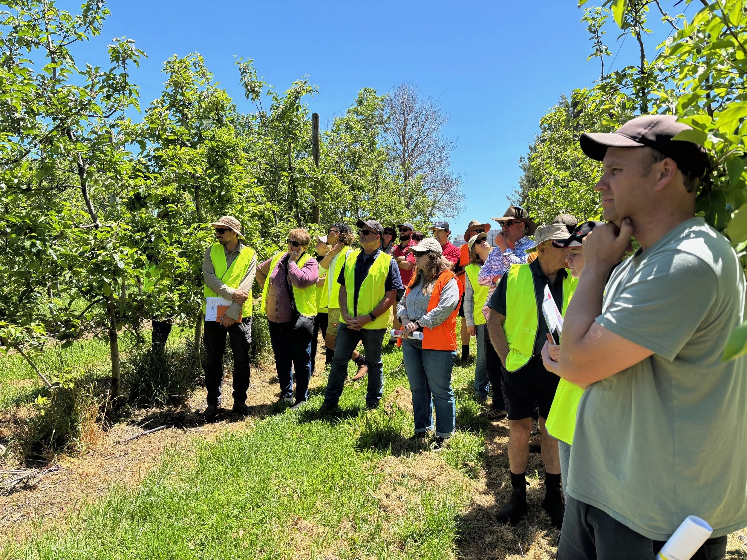 Spring Future Orchards Walk – November 25 