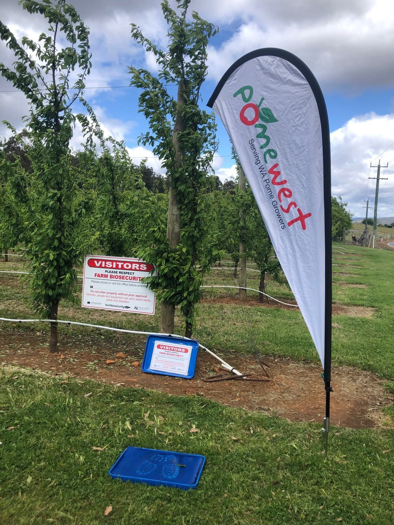 Prioritise good on-farm biosecurity practices