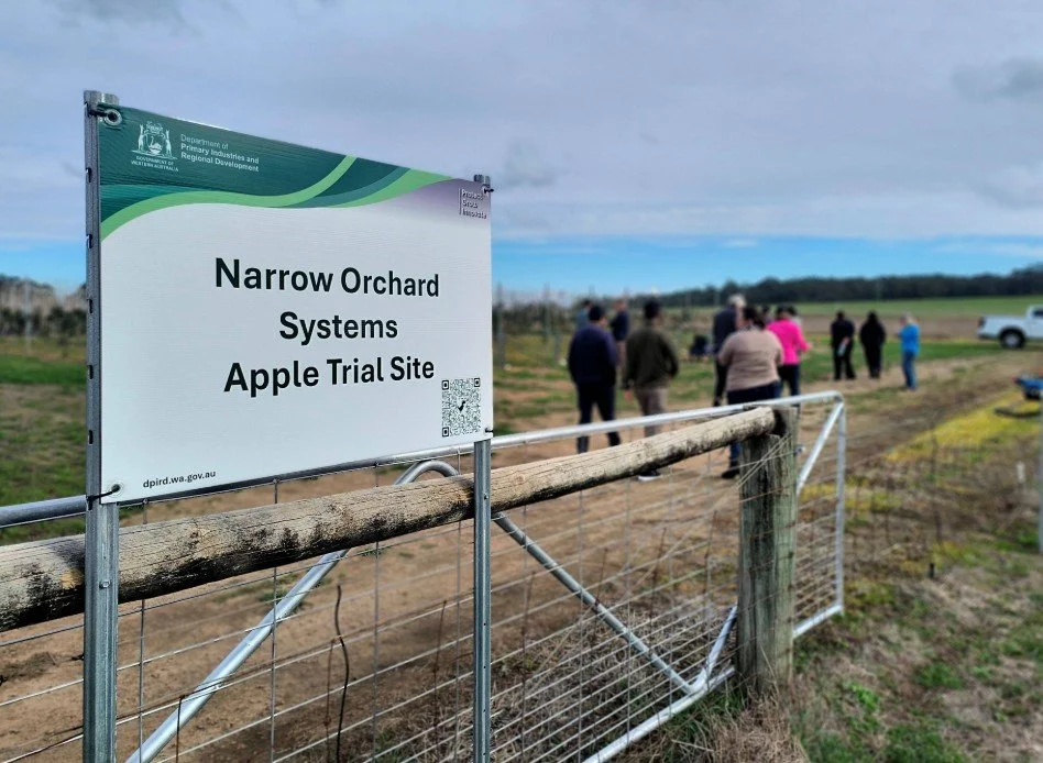 Field day spreads Narrow Orchard Systems research learnings far and wide