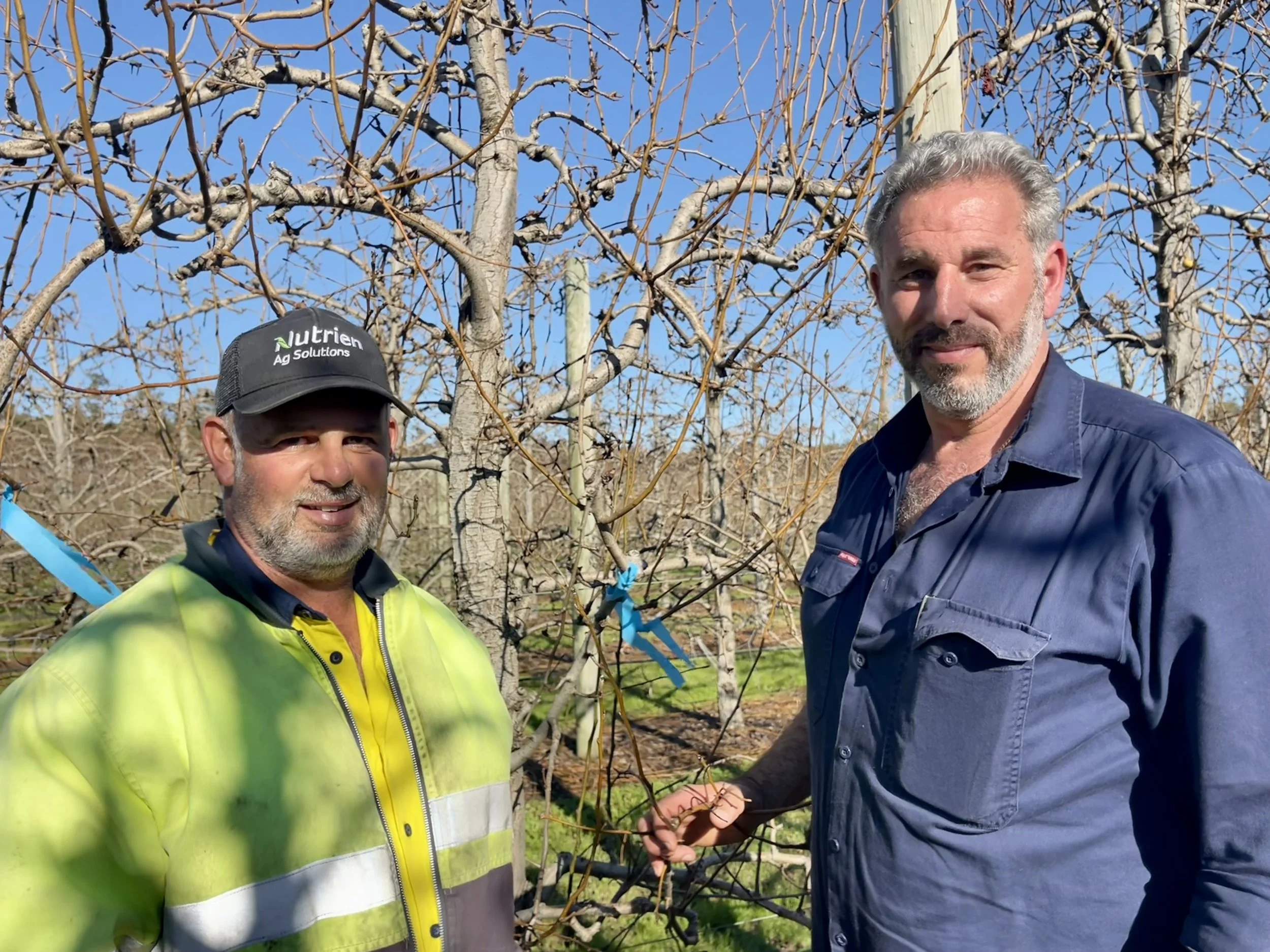 Successful  APAL Future Orchard Walk focuses on Pears on the Golden Mile in Donnybrook